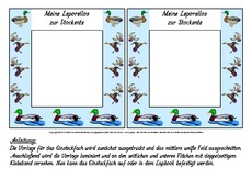 Fach-Leporellos-Stockente-2.pdf